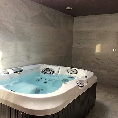 Wellness Löwe 4* Piest'any