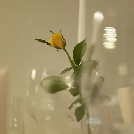 Wellness Loewe 酒店 4*