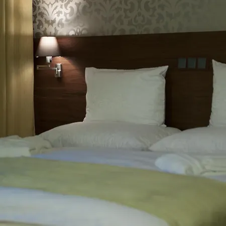 Wellness Loewe 4* 皮耶什佳尼