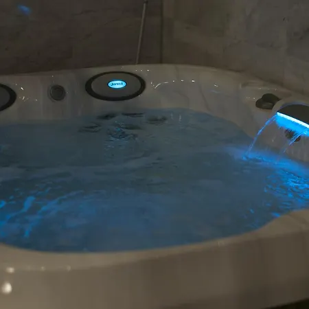 Wellness Loewe 4* 皮耶什佳尼
