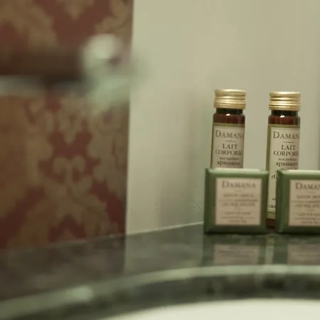 Wellness Loewe 酒店