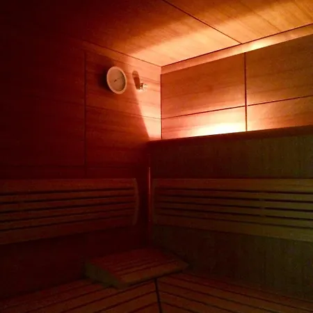 酒店 Wellness Loewe 4*