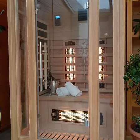 Wellness Loewe 酒店