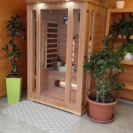 מלון Wellness Loewe פישטני